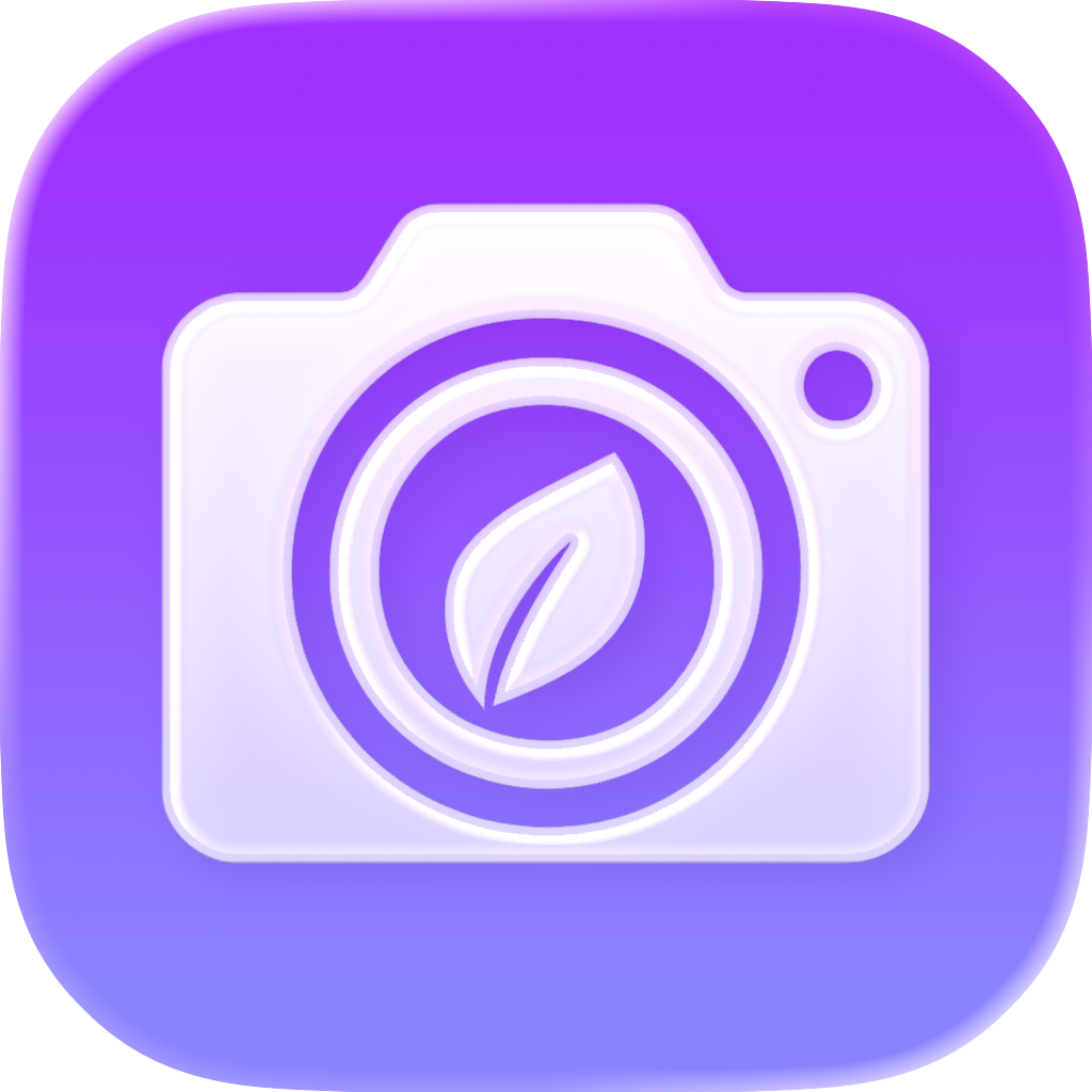 PhotoTidy icon